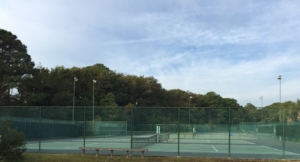 Beach-And-Tennis-Resort-Courts